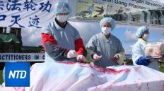 Forced Organ Harvesting In China Has Taken Place ‘on Significant Scale,’ Tribunal Finds