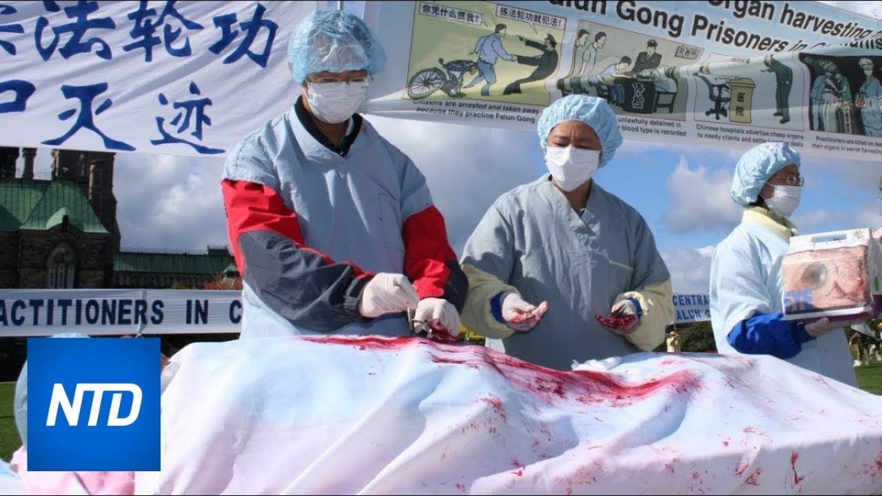 Forced Organ Harvesting In China Has Taken Place ‘on Significant Scale,’ Tribunal Finds