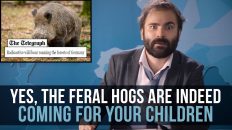 Yes, The Feral Hogs Are Indeed Coming For Your Children